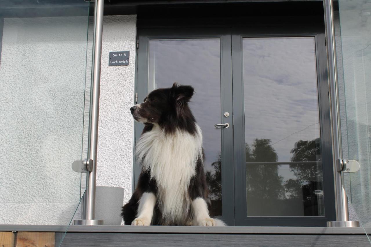 Ben Cruachan Inn - Restaurant, Pub With Rooms Loch Awe المظهر الخارجي الصورة